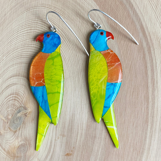 Rainbow Lorikeet Earrings | grand size