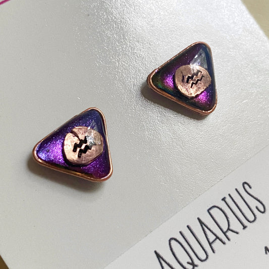 Zodiac Star Sign Earrings | Aquarius