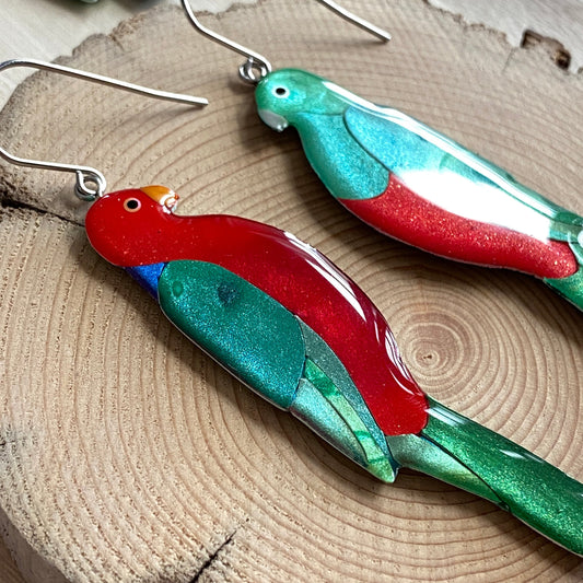 Lacroz Creations Earrings Australian King Parrot Earrings
