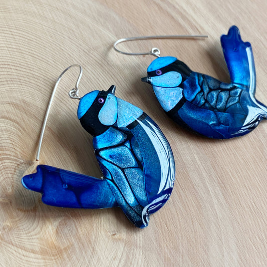 Splendid Fairy-Wren | grand size