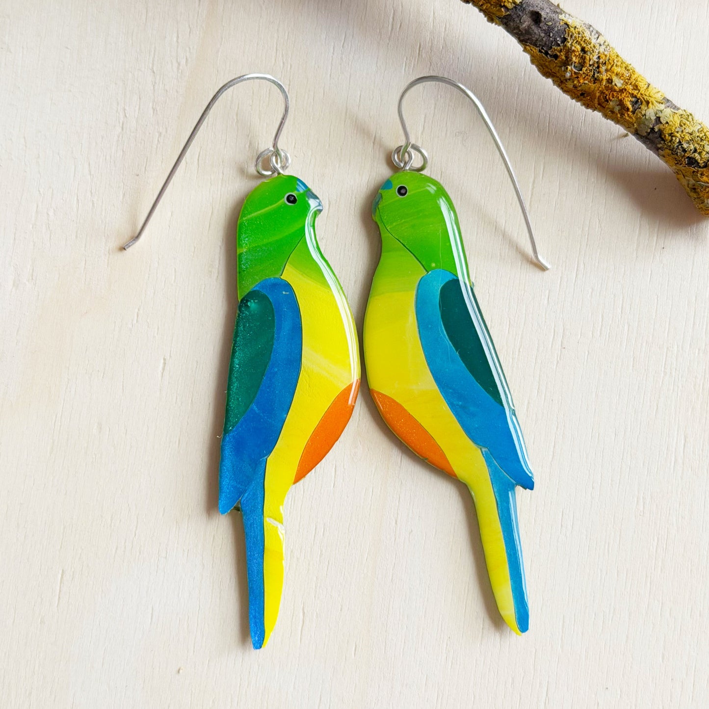 pair of colourful handmade orange-bellied parrot earrings with silver earring hooks