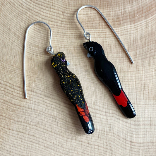 Red-tailed Black Cockatoo Earrings | mini size
